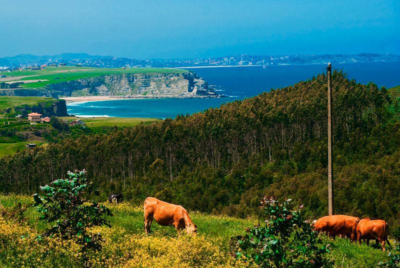 La Posada De Langre Anexo Εξωτερικό φωτογραφία