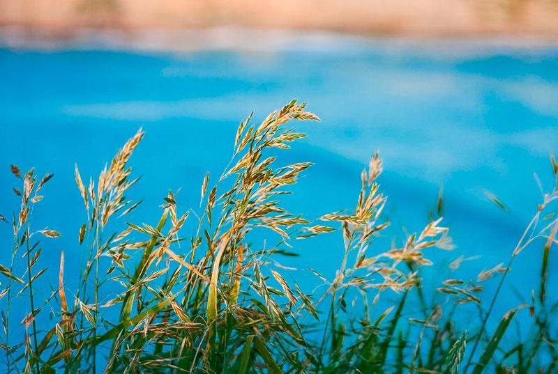 La Posada De Langre Anexo Εξωτερικό φωτογραφία